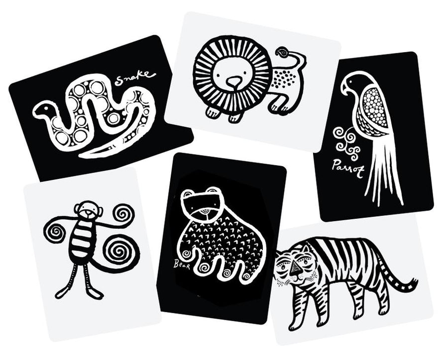 Art Cards For Baby - Jungle Collection - JKA Toys
