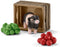 Mini-Pig With Apples Figure - JKA Toys