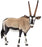 Oryx Figure - JKA Toys