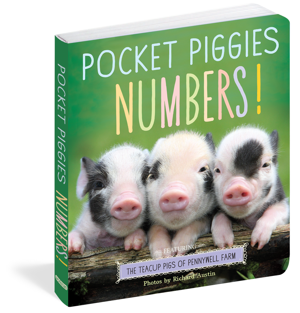 Pocket Piggies Numbers! Book - JKA Toys