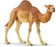 Dromedary Figure - JKA Toys