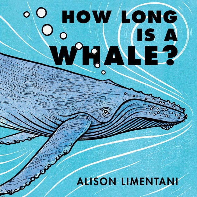 How Long Is A Whale? Hardcover Book - JKA Toys
